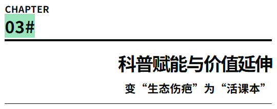 8fefbe578e2a4db98de17af56c7afed.png