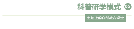 a6cd1dbd87c02eadeb96ad5c9ad4b95.png